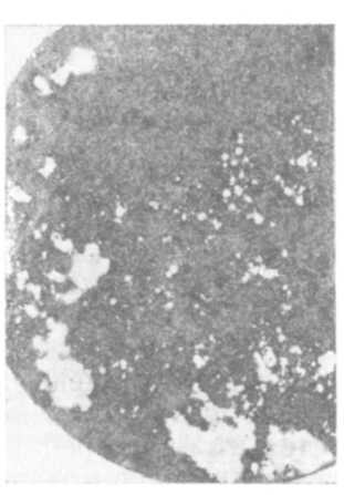 Отпечаток по Бауману на дефектной чугунной отливке  (вторичный шлак содержит много MgS)
