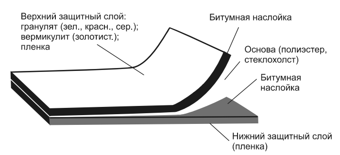 Структура бикропласта