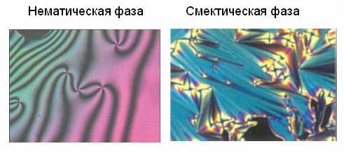 Текстуры жидких кристаллов