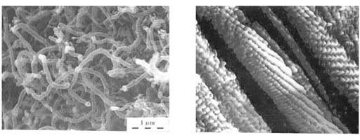Электронные фотографии нанотрубок