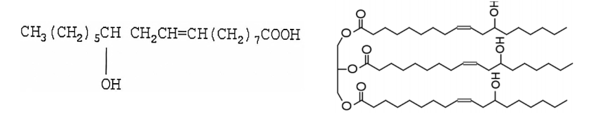 формула мононенасыщенной рицинолевой кислоты с одной двойной связью и структурная формула касторового масла – триацилглицерид 