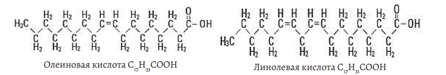 структурная формула ненасыщенных жирных кислот с одной и двумя двойными связями 
