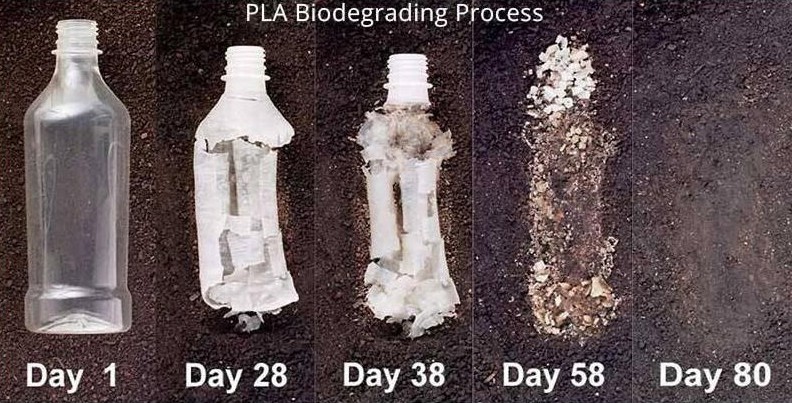 Процесс разложения бутылки из биопластика